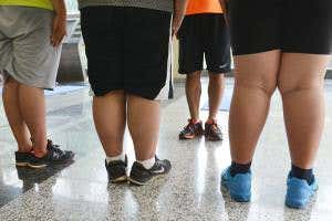 Genetic switch makes fat cells burn energy rather than store it