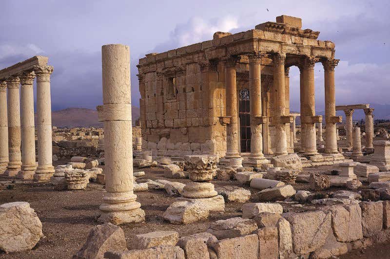 New Scientist. Science news and long reads from expert journalists, covering developments in science, technology, health and the environment on the website and the magazine.