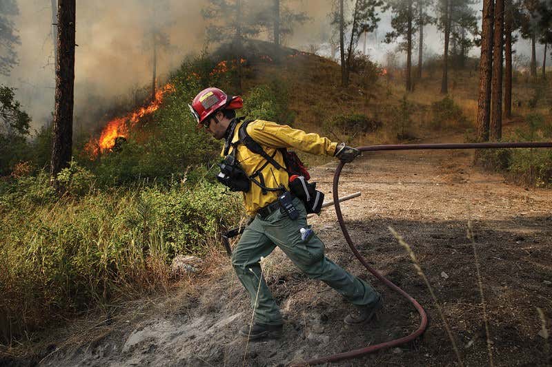 New Scientist. Science news and long reads from expert journalists, covering developments in science, technology, health and the environment on the website and the magazine.