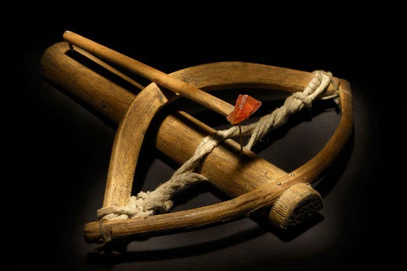 New Scientist. Science news and long reads from expert journalists, covering developments in science, technology, health and the environment on the website and the magazine.