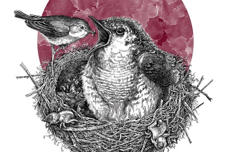 New Scientist. Science news and long reads from expert journalists, covering developments in science, technology, health and the environment on the website and the magazine.