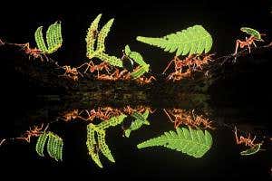 When it comes to science, do sweat the small stuff