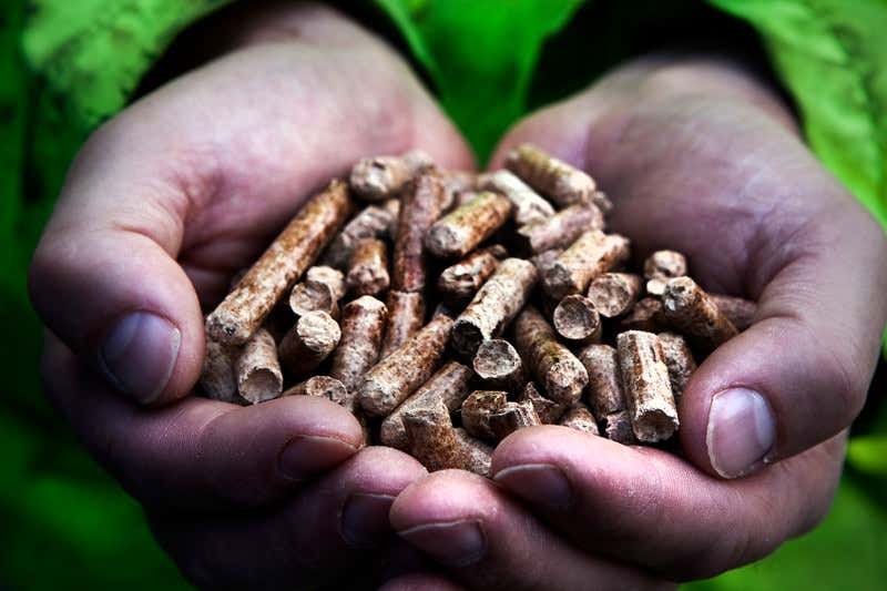 New Scientist. Science news and long reads from expert journalists, covering developments in science, technology, health and the environment on the website and the magazine.