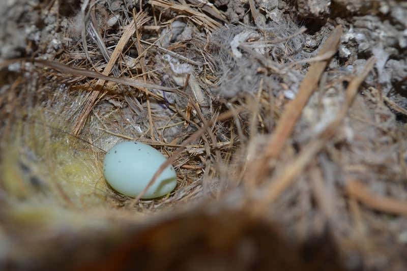 New Scientist. Science news and long reads from expert journalists, covering developments in science, technology, health and the environment on the website and the magazine.