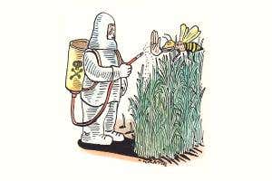 Critics of ban on bee-harming pesticides are sowing confusion