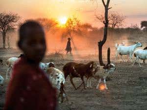 <em>The Science of Open Spaces</em>: Saving ecosystems the collective way