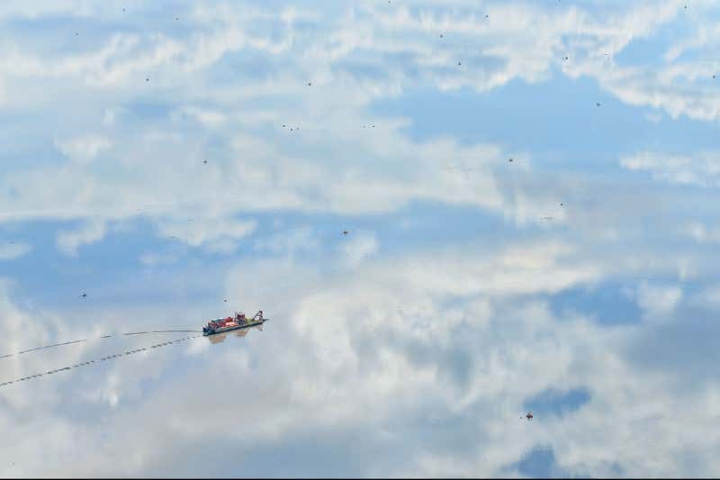 New Scientist. Science news and long reads from expert journalists, covering developments in science, technology, health and the environment on the website and the magazine.