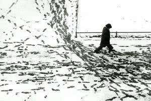 The Man Who Wasn't There: Exploring the science of the self