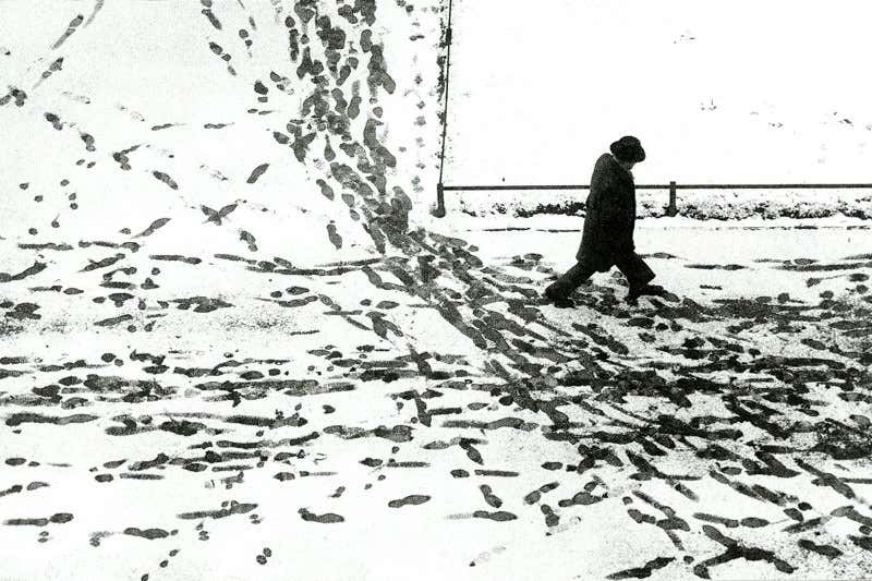 New Scientist. Science news and long reads from expert journalists, covering developments in science, technology, health and the environment on the website and the magazine.