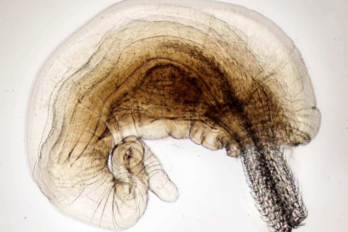 Top 10 photos from the Eureka Prize for Science Photography 2015