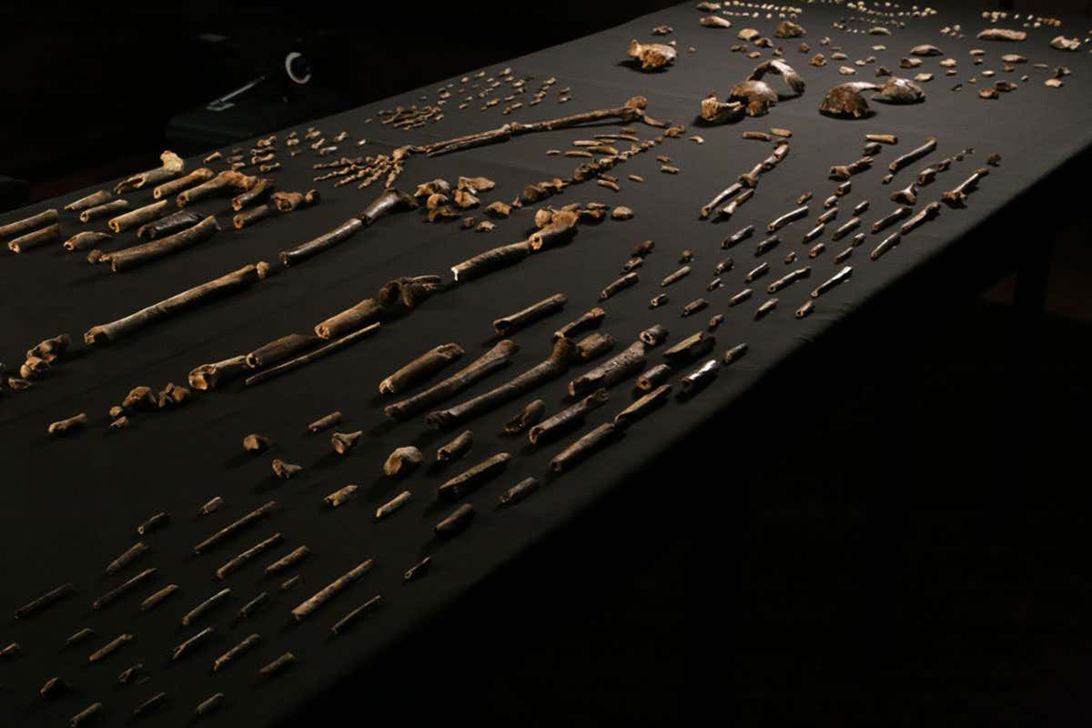 New Scientist. Science news and long reads from expert journalists, covering developments in science, technology, health and the environment on the website and the magazine.