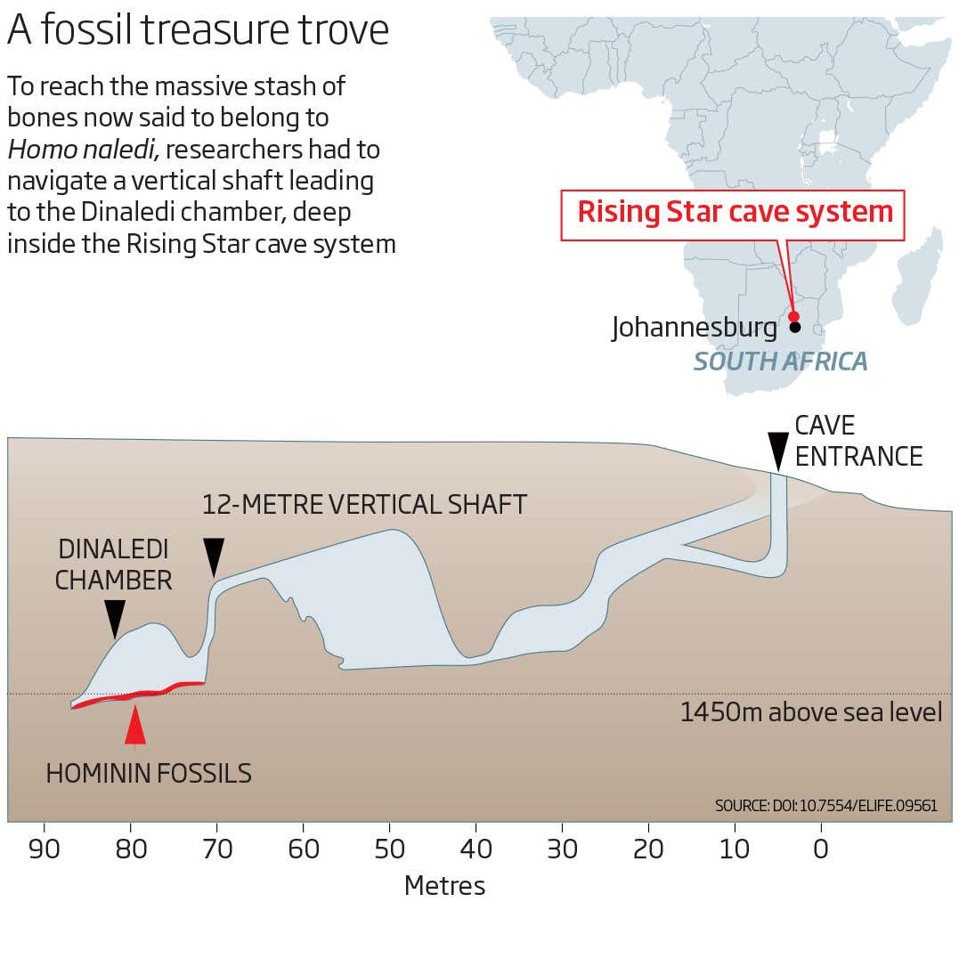 New Scientist. Science news and long reads from expert journalists, covering developments in science, technology, health and the environment on the website and the magazine.