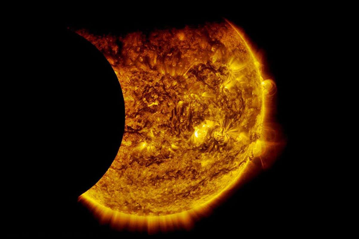 New Scientist. Science news and long reads from expert journalists, covering developments in science, technology, health and the environment on the website and the magazine.