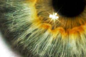 Practising staring at dots can shrink your blind spot