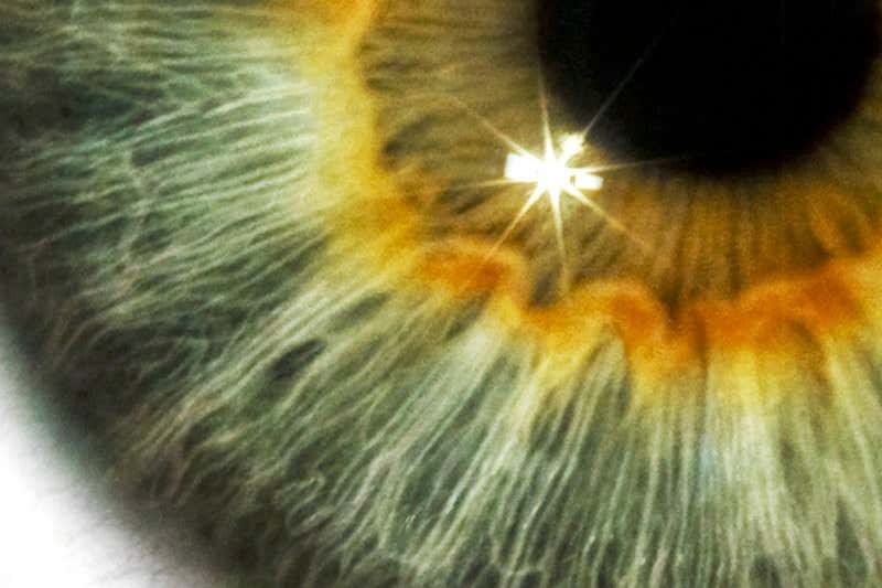 New Scientist. Science news and long reads from expert journalists, covering developments in science, technology, health and the environment on the website and the magazine.