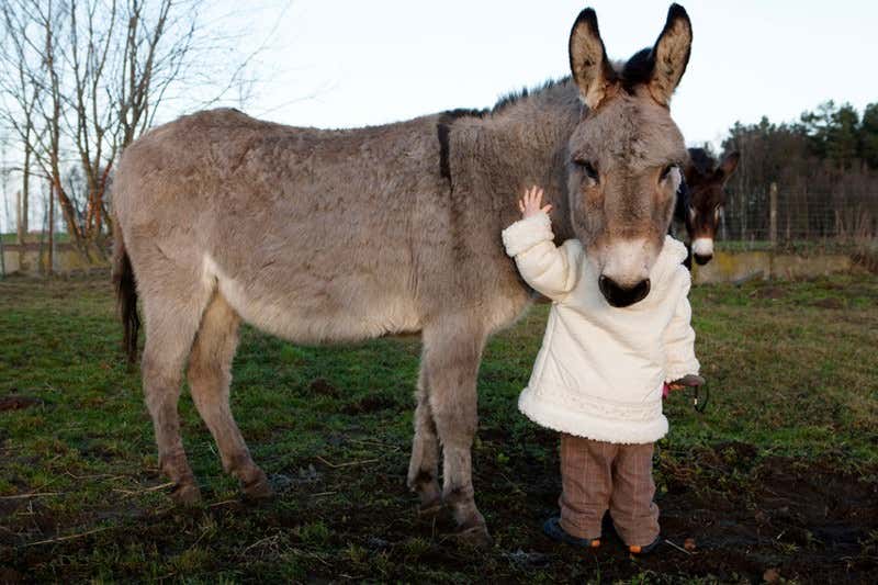 New Scientist. Science news and long reads from expert journalists, covering developments in science, technology, health and the environment on the website and the magazine.