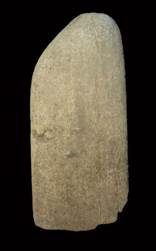 New Scientist. Science news and long reads from expert journalists, covering developments in science, technology, health and the environment on the website and the magazine.