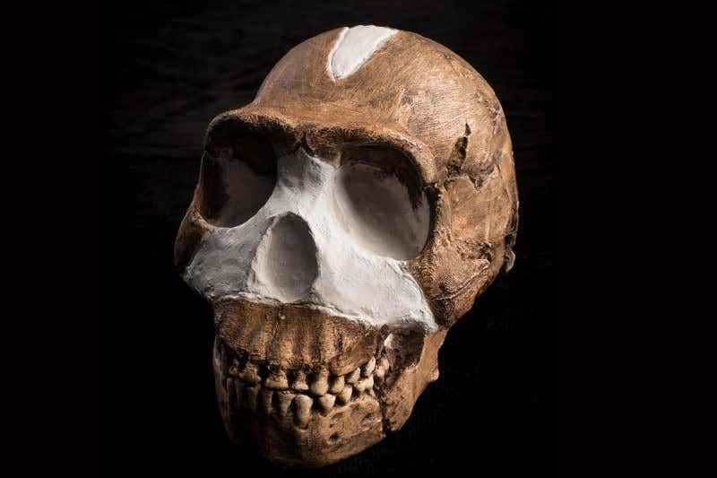 New Scientist. Science news and long reads from expert journalists, covering developments in science, technology, health and the environment on the website and the magazine.