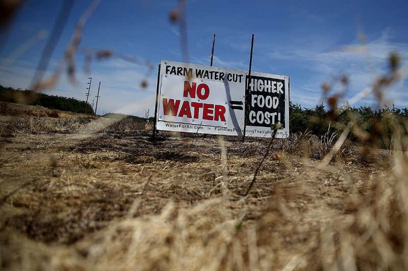 New Scientist. Science news and long reads from expert journalists, covering developments in science, technology, health and the environment on the website and the magazine.