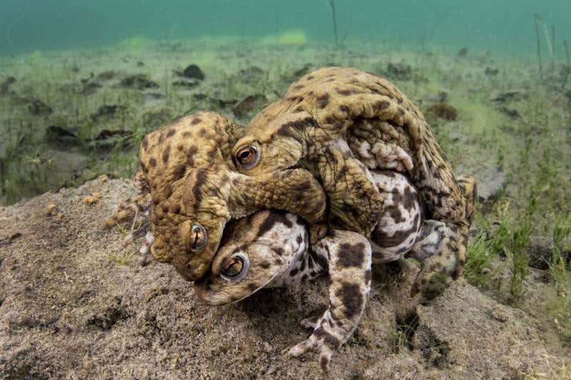 New Scientist. Science news and long reads from expert journalists, covering developments in science, technology, health and the environment on the website and the magazine.