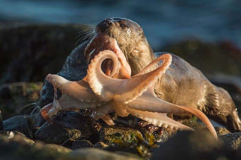 New Scientist. Science news and long reads from expert journalists, covering developments in science, technology, health and the environment on the website and the magazine.