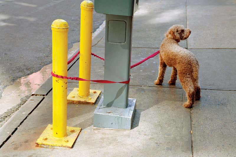 New Scientist. Science news and long reads from expert journalists, covering developments in science, technology, health and the environment on the website and the magazine.