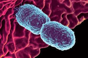 Global study reveals soaring antibiotic resistance in India