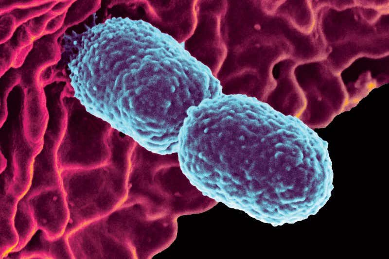 New Scientist. Science news and long reads from expert journalists, covering developments in science, technology, health and the environment on the website and the magazine.