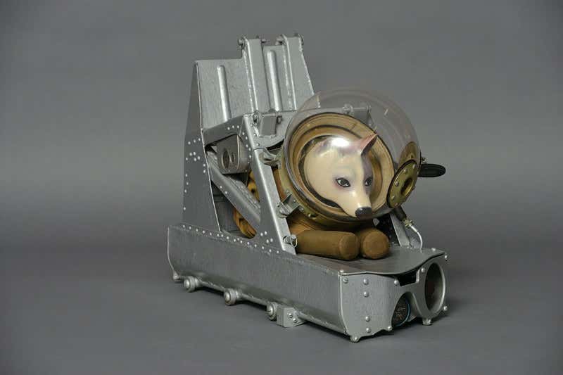 New Scientist. Science news and long reads from expert journalists, covering developments in science, technology, health and the environment on the website and the magazine.