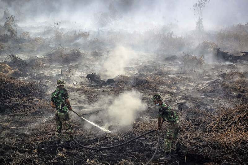 Indonesia forced to act as wildfire haze chokes South-East Asia