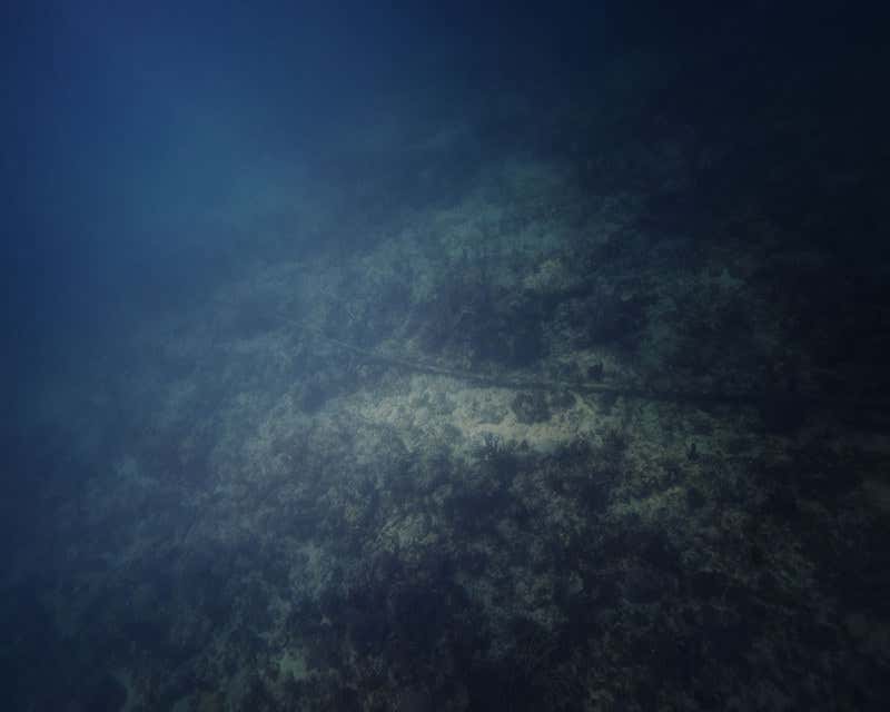 New Scientist. Science news and long reads from expert journalists, covering developments in science, technology, health and the environment on the website and the magazine.