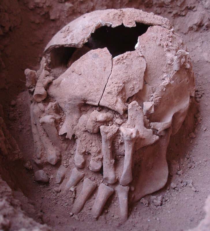 New Scientist. Science news and long reads from expert journalists, covering developments in science, technology, health and the environment on the website and the magazine.