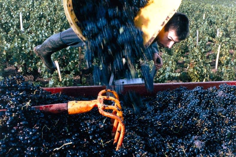 New Scientist. Science news and long reads from expert journalists, covering developments in science, technology, health and the environment on the website and the magazine.