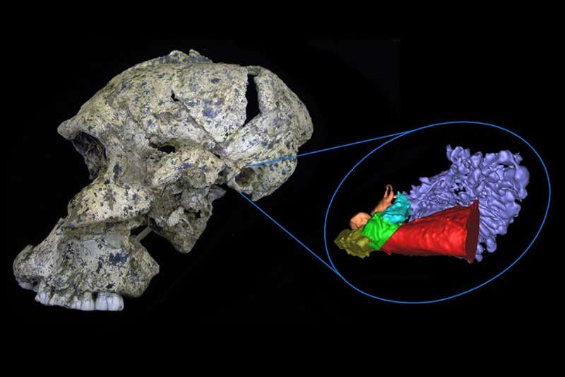 New Scientist. Science news and long reads from expert journalists, covering developments in science, technology, health and the environment on the website and the magazine.