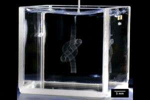 Gel scaffold paves way for 3D printing of biological organs