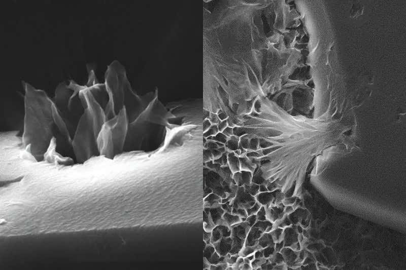 New Scientist. Science news and long reads from expert journalists, covering developments in science, technology, health and the environment on the website and the magazine.