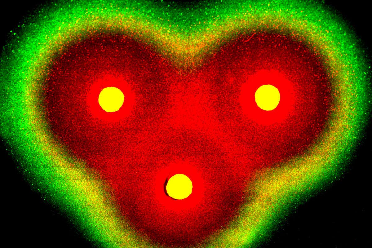 New Scientist. Science news and long reads from expert journalists, covering developments in science, technology, health and the environment on the website and the magazine.