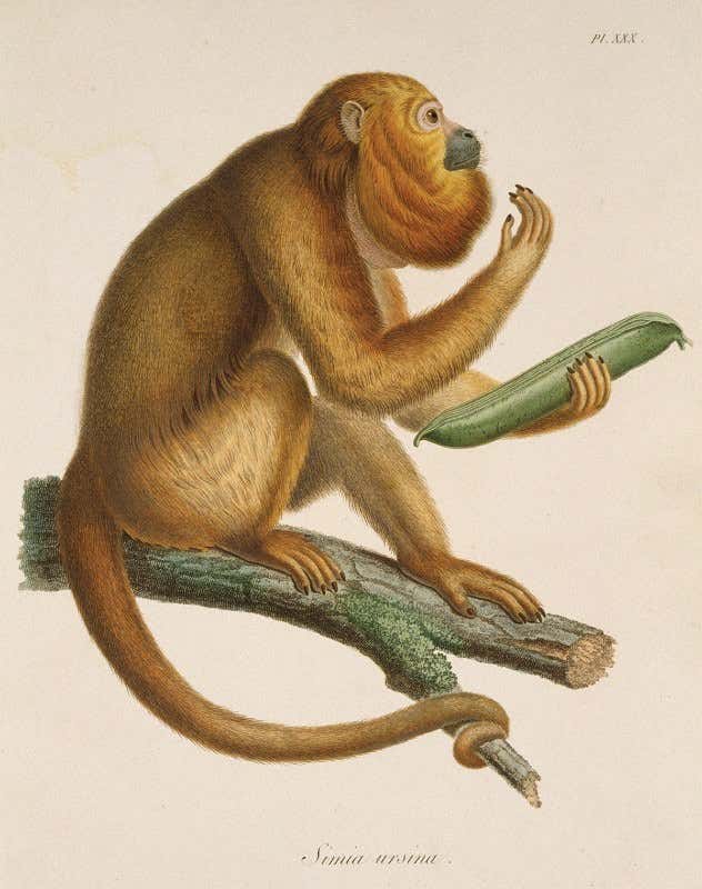 New Scientist. Science news and long reads from expert journalists, covering developments in science, technology, health and the environment on the website and the magazine.