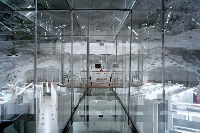 New Scientist. Science news and long reads from expert journalists, covering developments in science, technology, health and the environment on the website and the magazine.