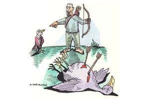 Invasive species caused nearly half of extinctions? It's hearsay