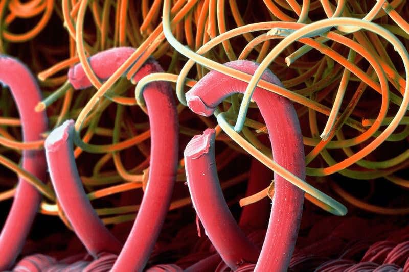 New Scientist. Science news and long reads from expert journalists, covering developments in science, technology, health and the environment on the website and the magazine.