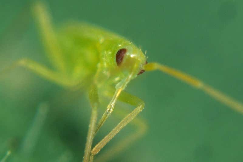 New Scientist. Science news and long reads from expert journalists, covering developments in science, technology, health and the environment on the website and the magazine.