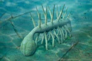 <i>Evolution: The whole story</i> proves no lifeform is dull