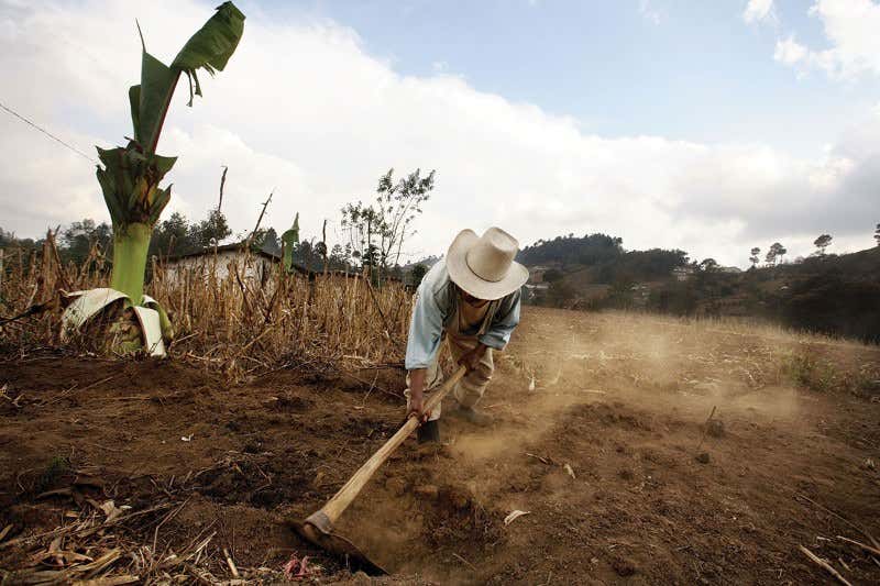 New Scientist. Science news and long reads from expert journalists, covering developments in science, technology, health and the environment on the website and the magazine.