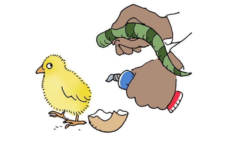 Feedback: A crafty trick that makes dinosaur from chick