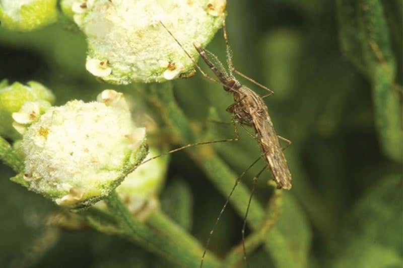 New Scientist. Science news and long reads from expert journalists, covering developments in science, technology, health and the environment on the website and the magazine.