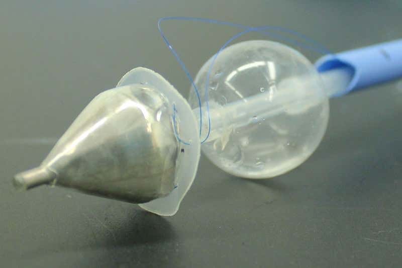 New Scientist. Science news and long reads from expert journalists, covering developments in science, technology, health and the environment on the website and the magazine.