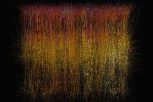 Digital version of piece of rat brain fires like the real thing