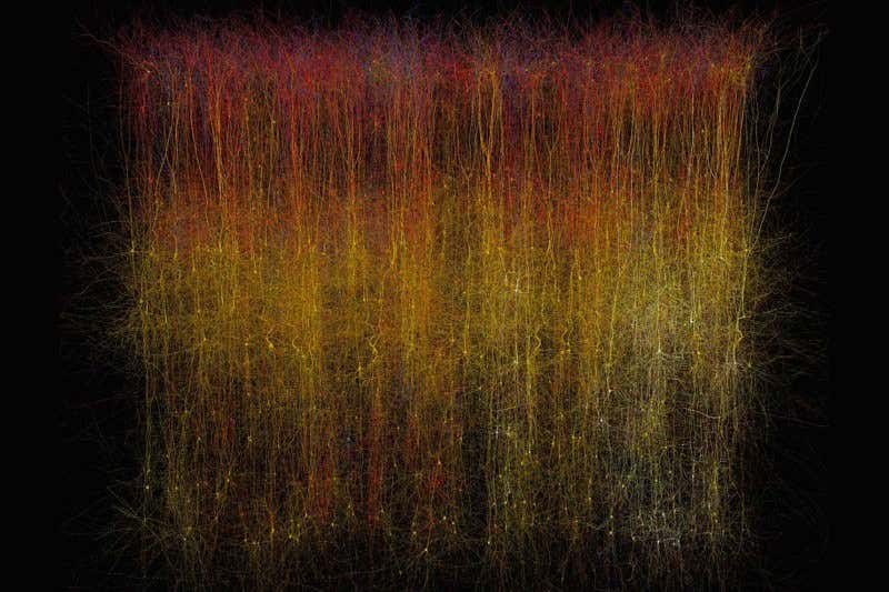 New Scientist. Science news and long reads from expert journalists, covering developments in science, technology, health and the environment on the website and the magazine.