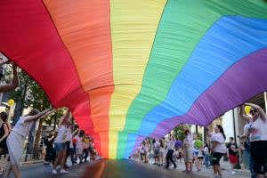 'Gay test' fear mustn't derail work on sexuality's genetic basis